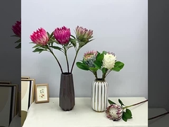 Весенний цвет симуляции короля цветок съемки сцены императора цветок дома поддельные цветочные украшения свадьбы