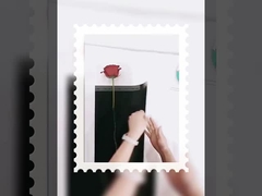 Богиня одиночный небольшой букет упаковка прозрачная оп водонепроницаемая пленка упакована в цветочную бумагу DIY мате