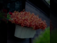 Декорации для фестивалей на открытом воздухе, осенние растения, искусственные листья эвкалипта, фиалки эвкалипта, ромашки