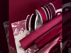 2024 Анкела Красный элемент