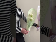 Однопакетные цветы, букеты роз, подарки на День святого Валентина и День учителя для лучших