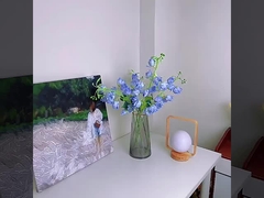 Искусственные цветы, флаконы, фаленопсис, искусственные цветы, шелковые цветы, домашние цветы для демонстрации