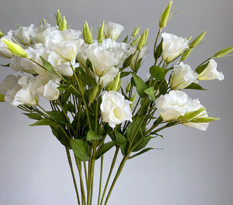 Купить 3 штуки имитируемых цветов Кампанулы, украшения для дома, шелковые цветы, реквизиты для фотографии, путеводители на свадьбу, пейзажи, поддельные букеты цветов Производство в сети