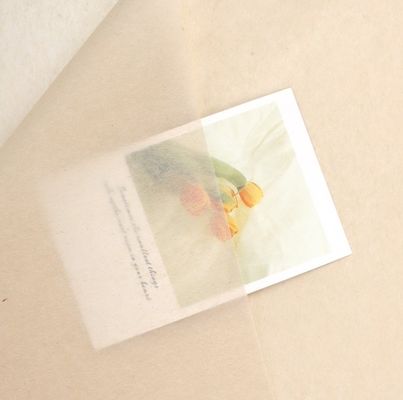 Купить Effortlessly Elegant Korean-Style Copy Paper for Flower Wrapping and Gift Packaging Производство в сети